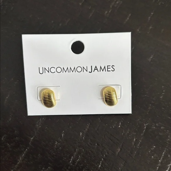 Uncommon James “Status Symbol Ribbed” Earrings - Picture 2 of 4